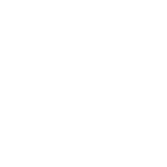 Seviye 6